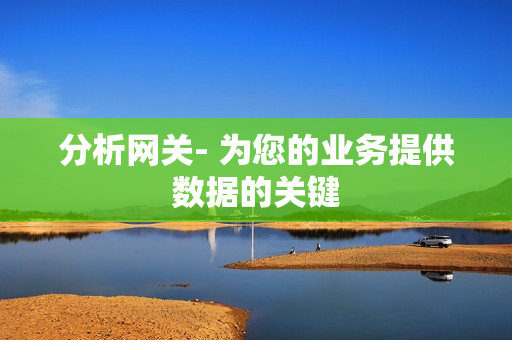 分析网关- 为您的业务提供数据的关键