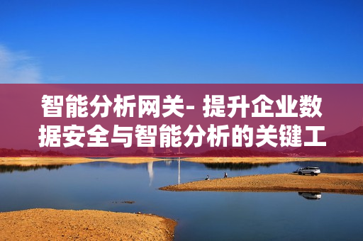 智能分析网关- 提升企业数据安全与智能分析的关键工具