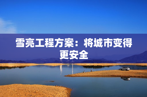 雪亮工程方案：将城市变得更安全