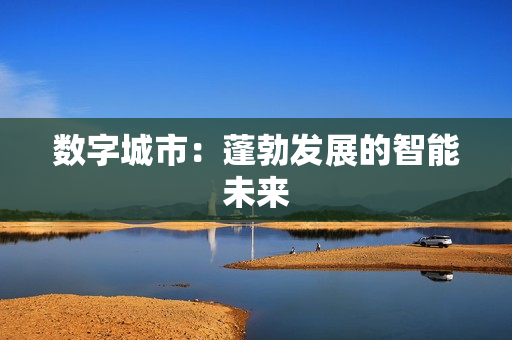 数字城市：蓬勃发展的智能未来