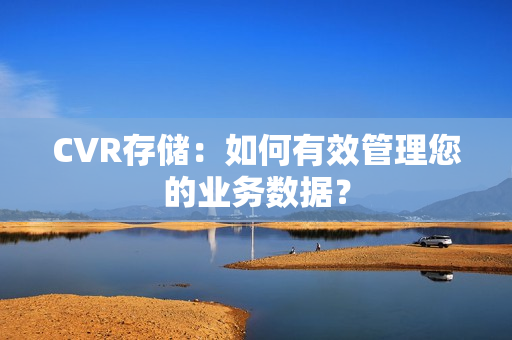 CVR存储：如何有效管理您的业务数据？