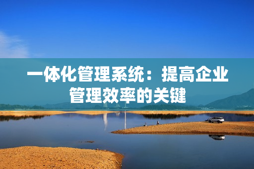 一体化管理系统：提高企业管理效率的关键