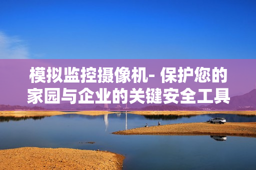 模拟监控摄像机- 保护您的家园与企业的关键安全工具